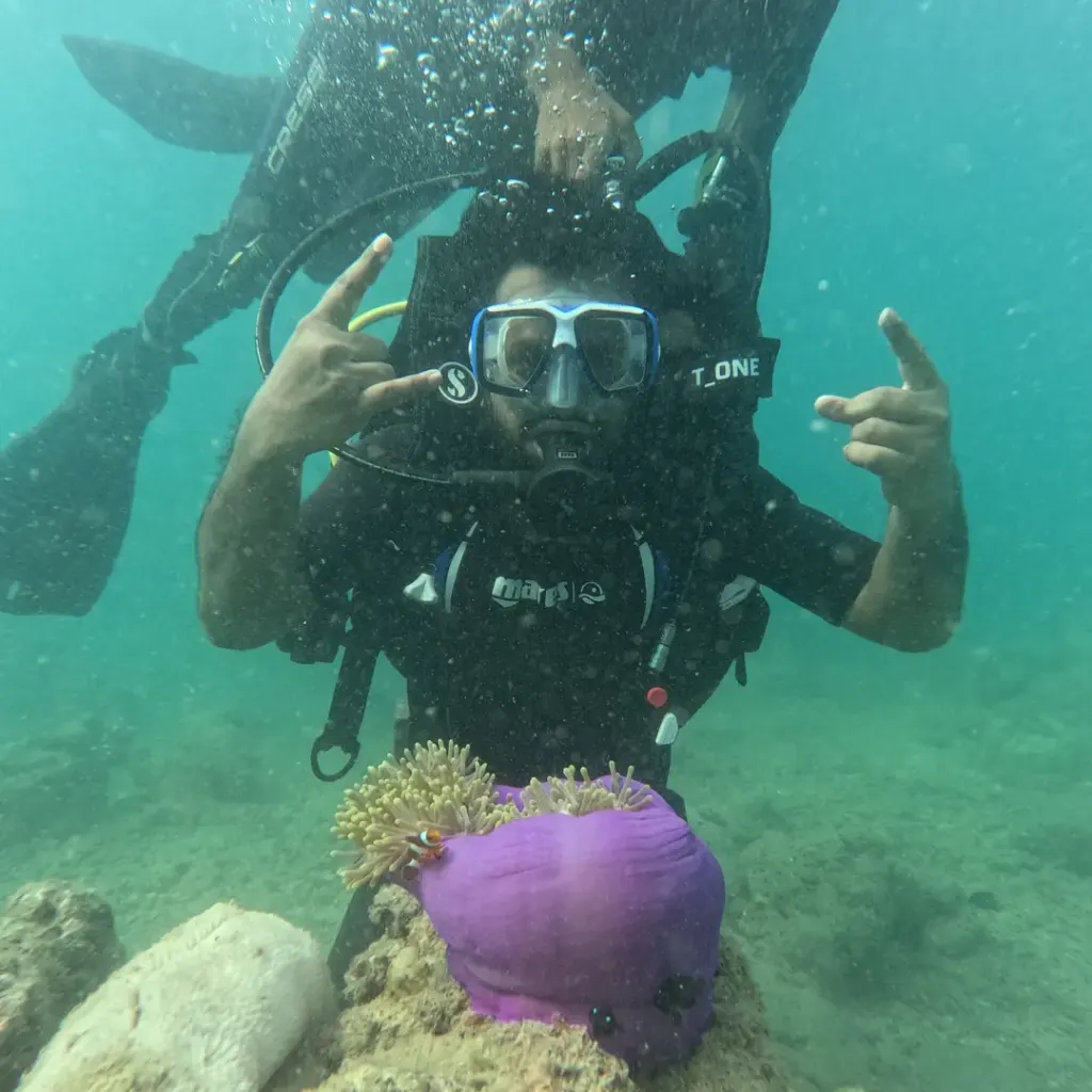Diver making hand signs above a purple anemone, scuba diving in Havelock Island