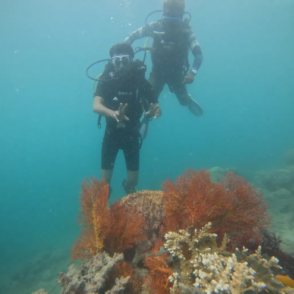 Two divers behind orange sea fans and coral, scuba diving in Havelock Island