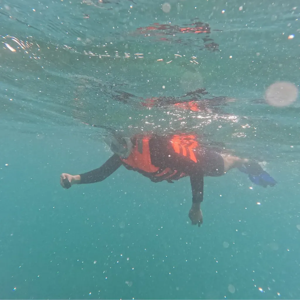 Snorkeller in a life jacket swimming at the surface, snorkelling in Havelock Island