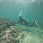 Diver swimming beside the reef over sand, RAID Advanced 35 course in Havelock, Andaman