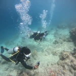 Two divers over the reef, one holding a camera, RAID Advanced 35 course in Havelock, Andaman