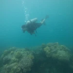 Diver swimming above coral heads, RAID Advanced 35 course in Havelock, Andaman