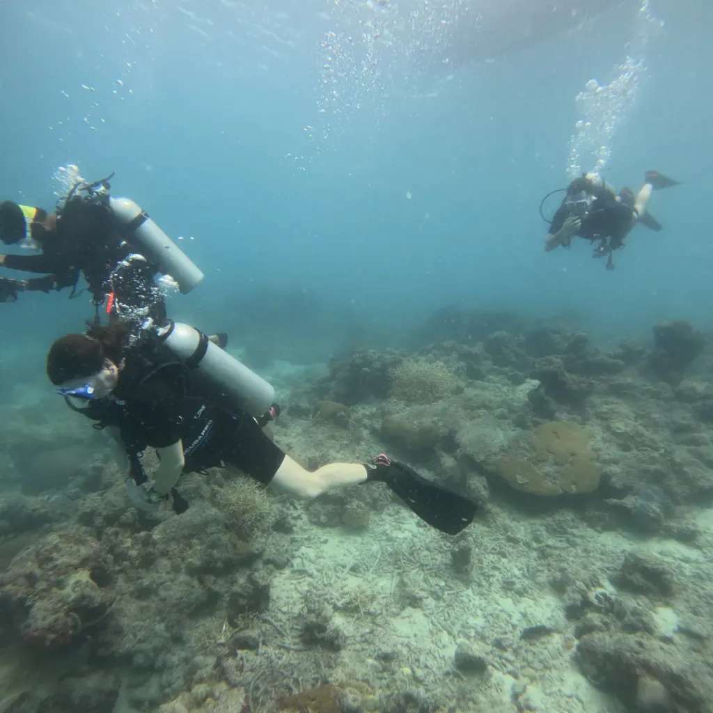Two divers over the reef, RAID Advanced 35 course in Havelock, Andaman