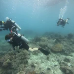 Two divers over the reef, RAID Advanced 35 course in Havelock, Andaman