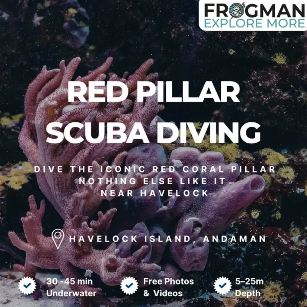 Red Pillar scuba diving site at Havelock Island, Andaman