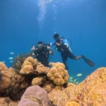 Two divers above potato coral with small fish, Red Pillar scuba diving, Havelock Island