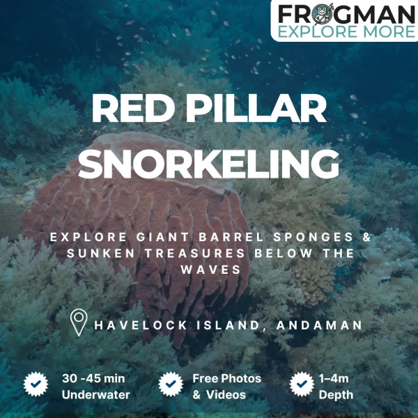Red Pillar snorkeling tour in Havelock Island