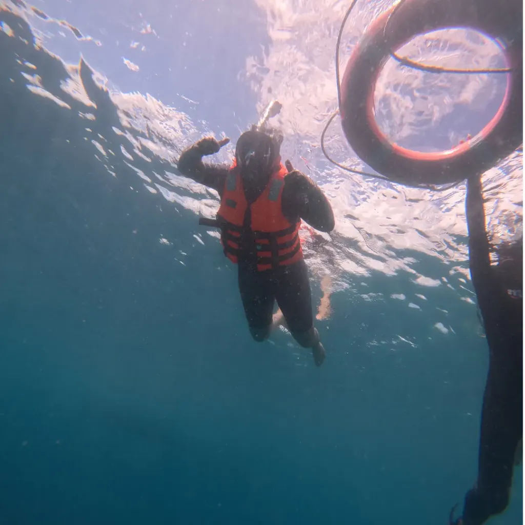 Snorkeller in an orange life jacket by the float ring, seen from below, snorkelling in Havelock Island