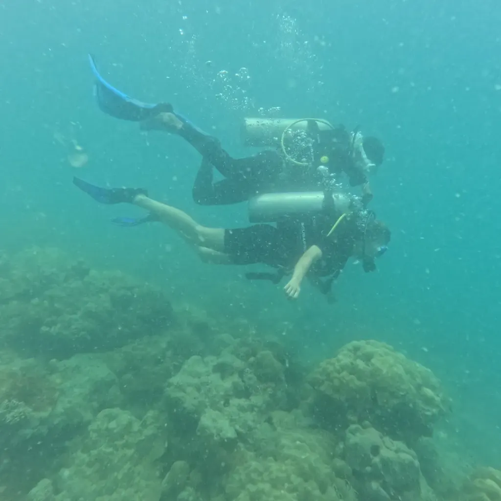 Two divers swimming together over the reef, RAID Open Water course in Havelock, Andaman