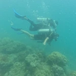 Two divers swimming together over the reef, RAID Open Water course in Havelock, Andaman