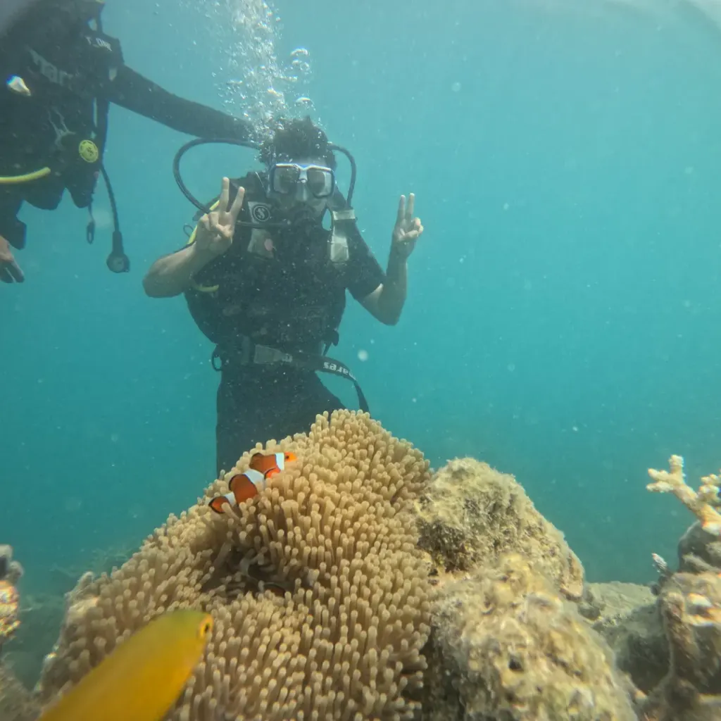 Diver above an anemone with a clownfish and an orange fish, Try Scuba diving in Havelock Island