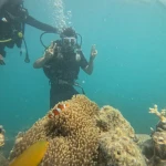 Diver above an anemone with a clownfish and an orange fish, Try Scuba diving in Havelock Island