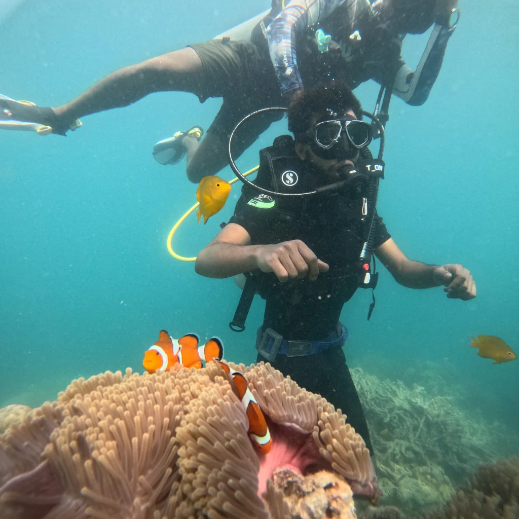 Instructor showing a diver clownfish in an anemone, scuba diving in Havelock