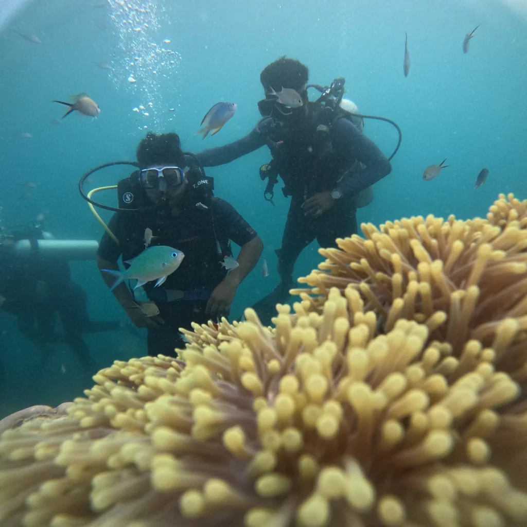 Divers surrounded by small reef fish above a yellow anemone while scuba diving in Nemo Beach, Andaman