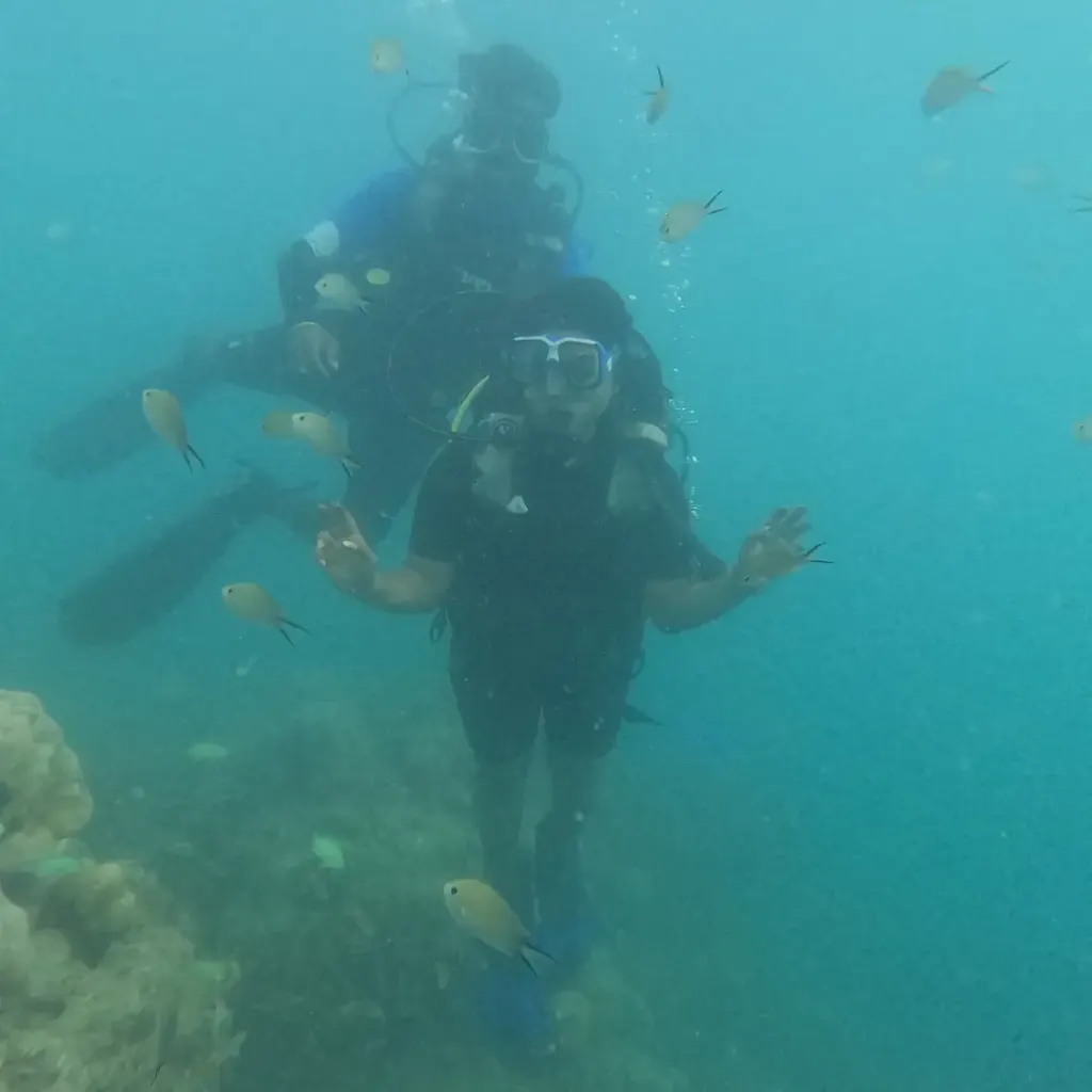 Diver and instructor with reef fish, Zero to Hero internship in Havelock, Andaman