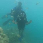 Diver and instructor with reef fish, Zero to Hero internship in Havelock, Andaman