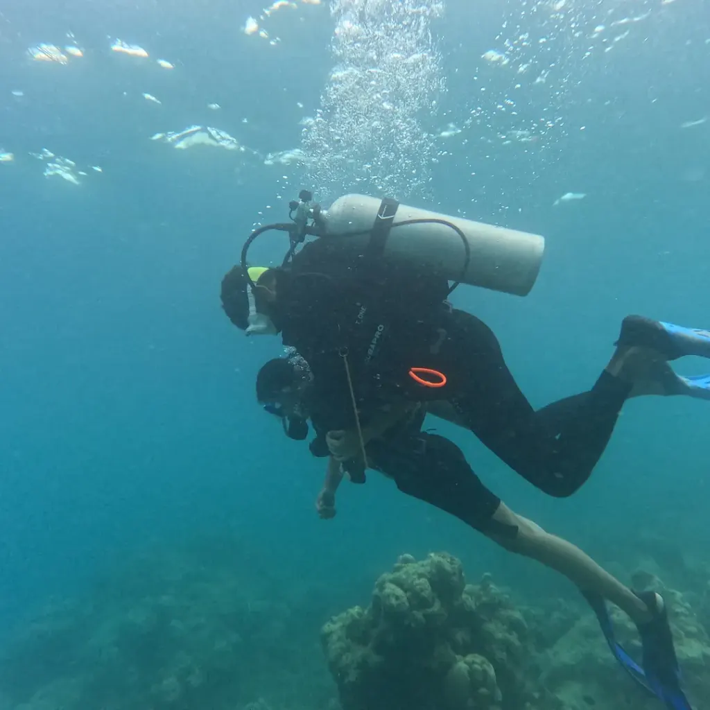 Diver swimming horizontally over the reef, scuba refresher in Havelock Island