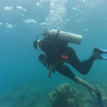 Diver swimming horizontally over the reef, scuba refresher in Havelock Island