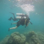 Diver swimming with the tank above the reef, scuba refresher in Havelock Island