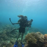 Diver beside coral on the reef, scuba refresher in Havelock Island