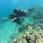 Two divers swimming over coral heads, scuba refresher in Havelock Island