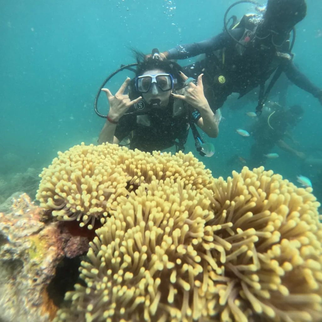 Shore dive in Andaman - diver over a soft coral anemone garden at Havelock