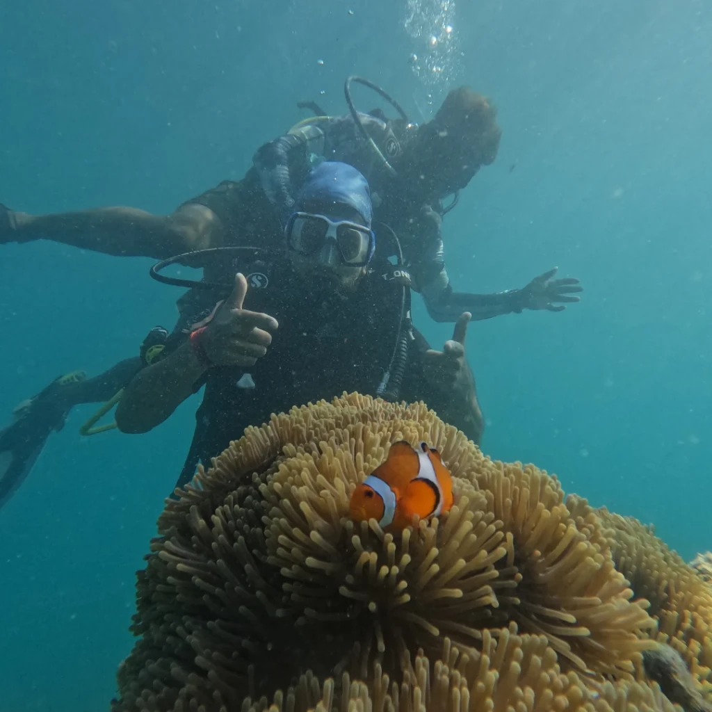 Shore scuba diving in Andaman - diver beside a clownfish anemone on the house reef