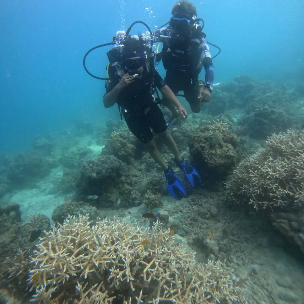 Shore scuba diving in Andaman - two divers over shallow staghorn coral off Havelock Island