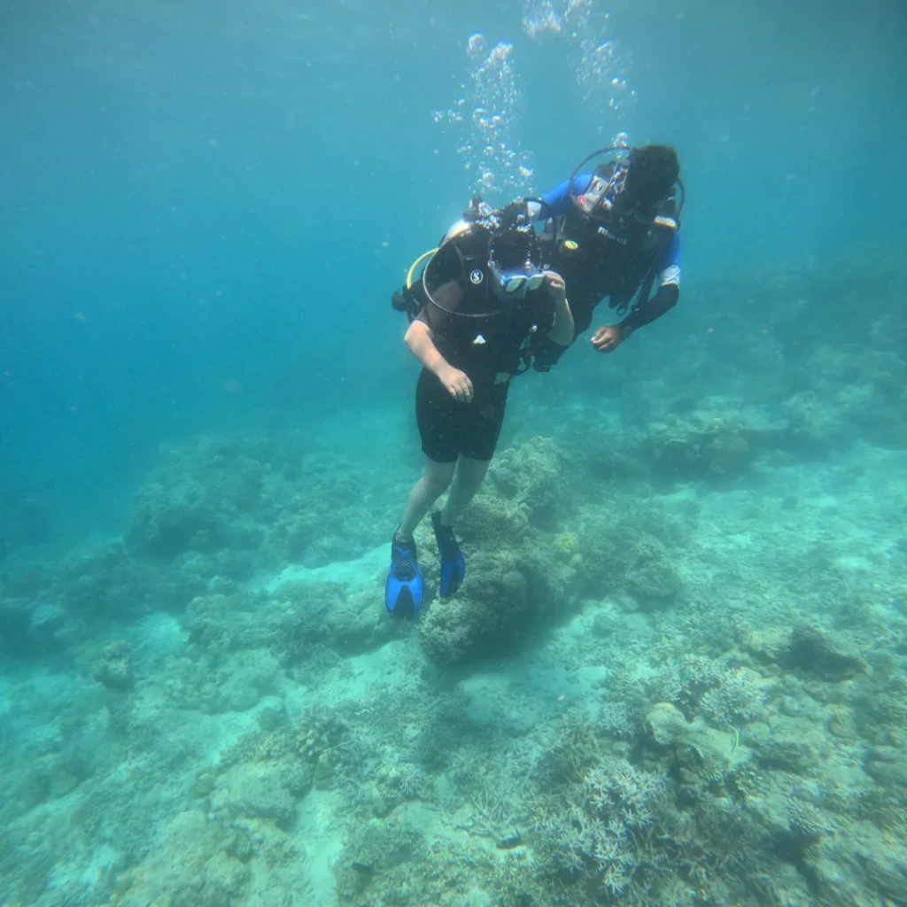 Shore scuba diving in Havelock - diver exploring the house reef from the beach