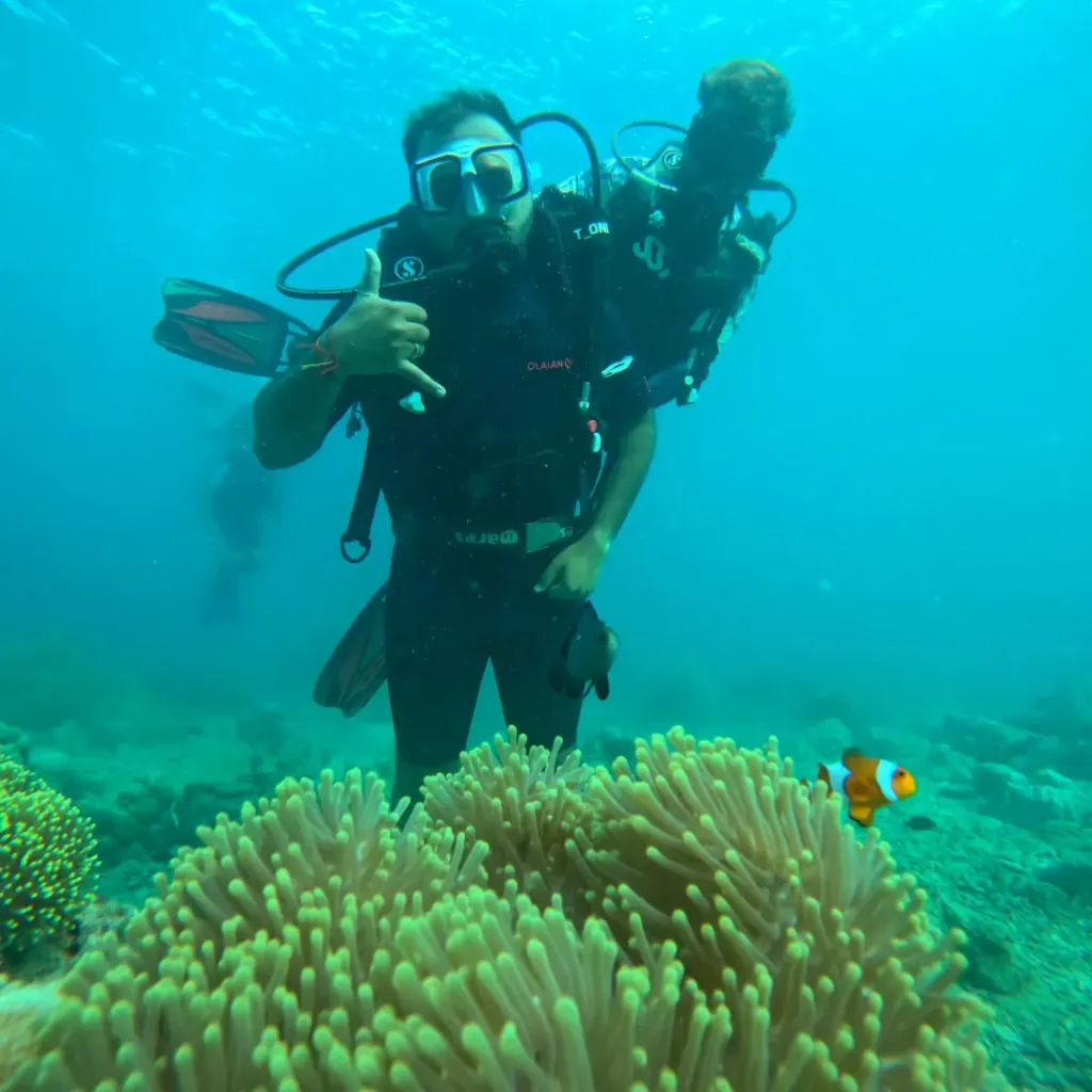Diver above a green anemone with a clownfish, The Slope scuba diving, Havelock Island