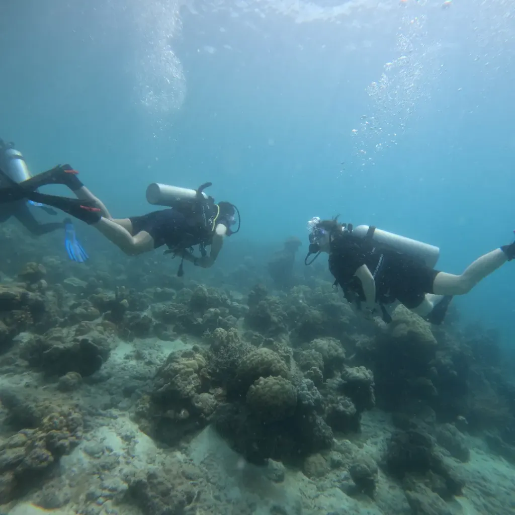 Two pairs of divers swimming over the reef, The Slope scuba diving, Havelock Island