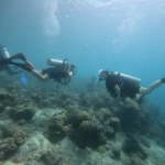 Two pairs of divers swimming over the reef, The Slope scuba diving, Havelock Island