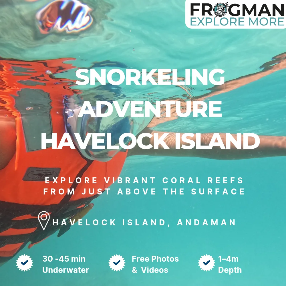 Snorkeling in Havelock Island, Andaman: snorkeller in a full-face mask and orange life jacket at the surface, Havelock snorkeling with Frogman Adventures