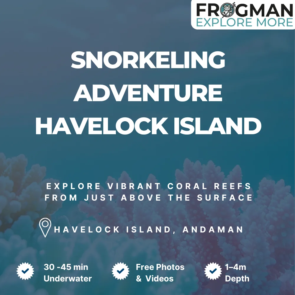 Snorkeling in Havelock Island at Frogman Adventures