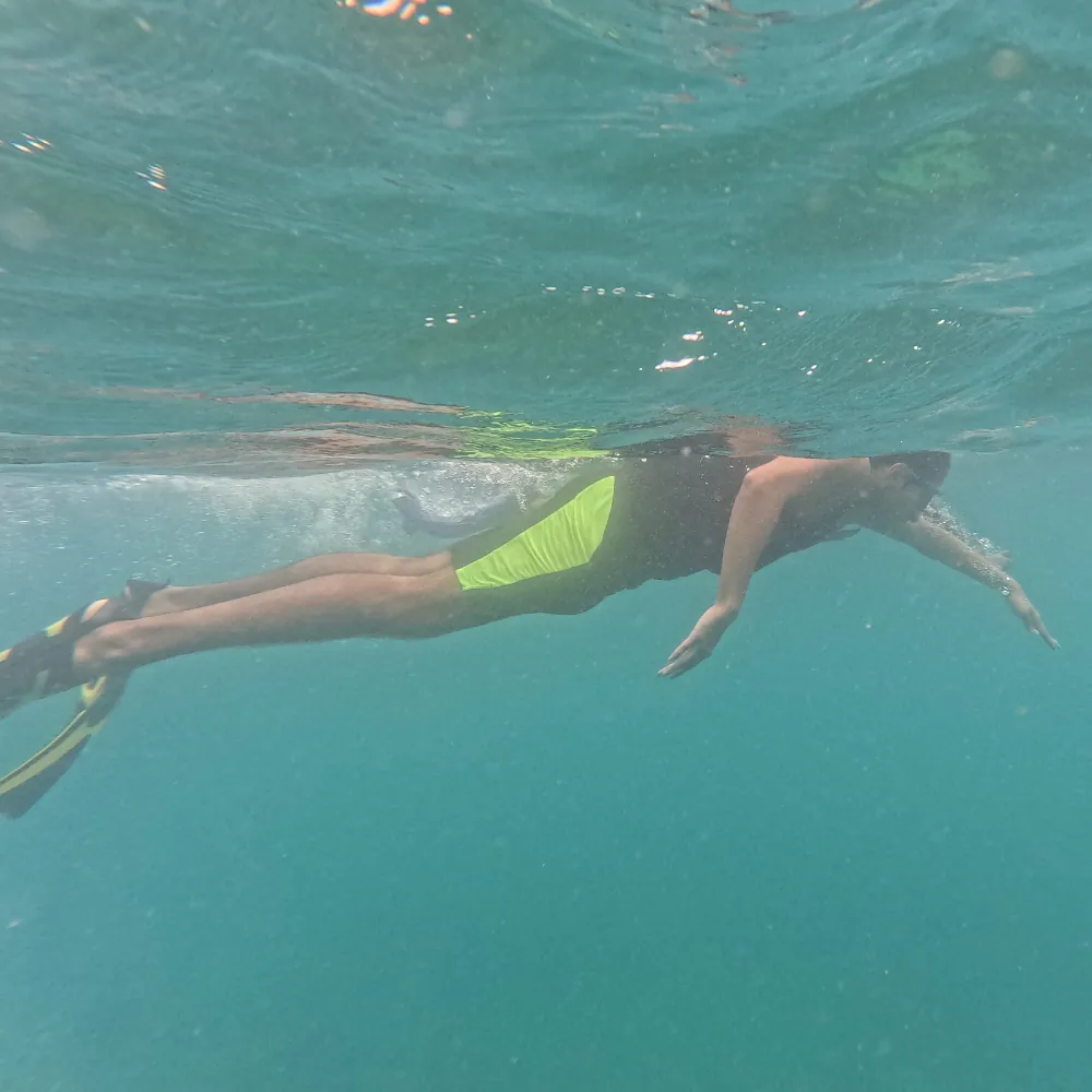 Snorkeller in yellow fins and shorts finning along just under the surface, snorkelling in Havelock