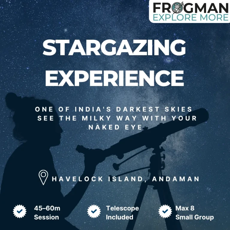 Stargazing in Havelock Island – Night Sky Experience, Andaman