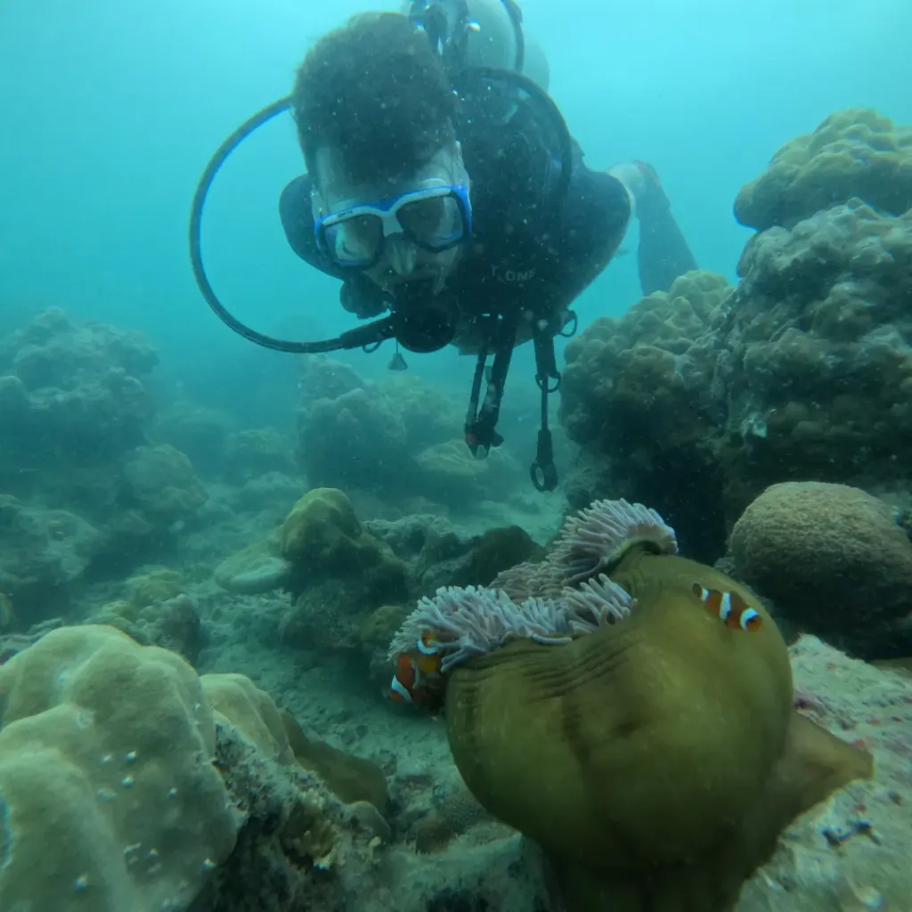 Diver leaning in behind a clownfish anemone, The Slope scuba diving, Havelock Island