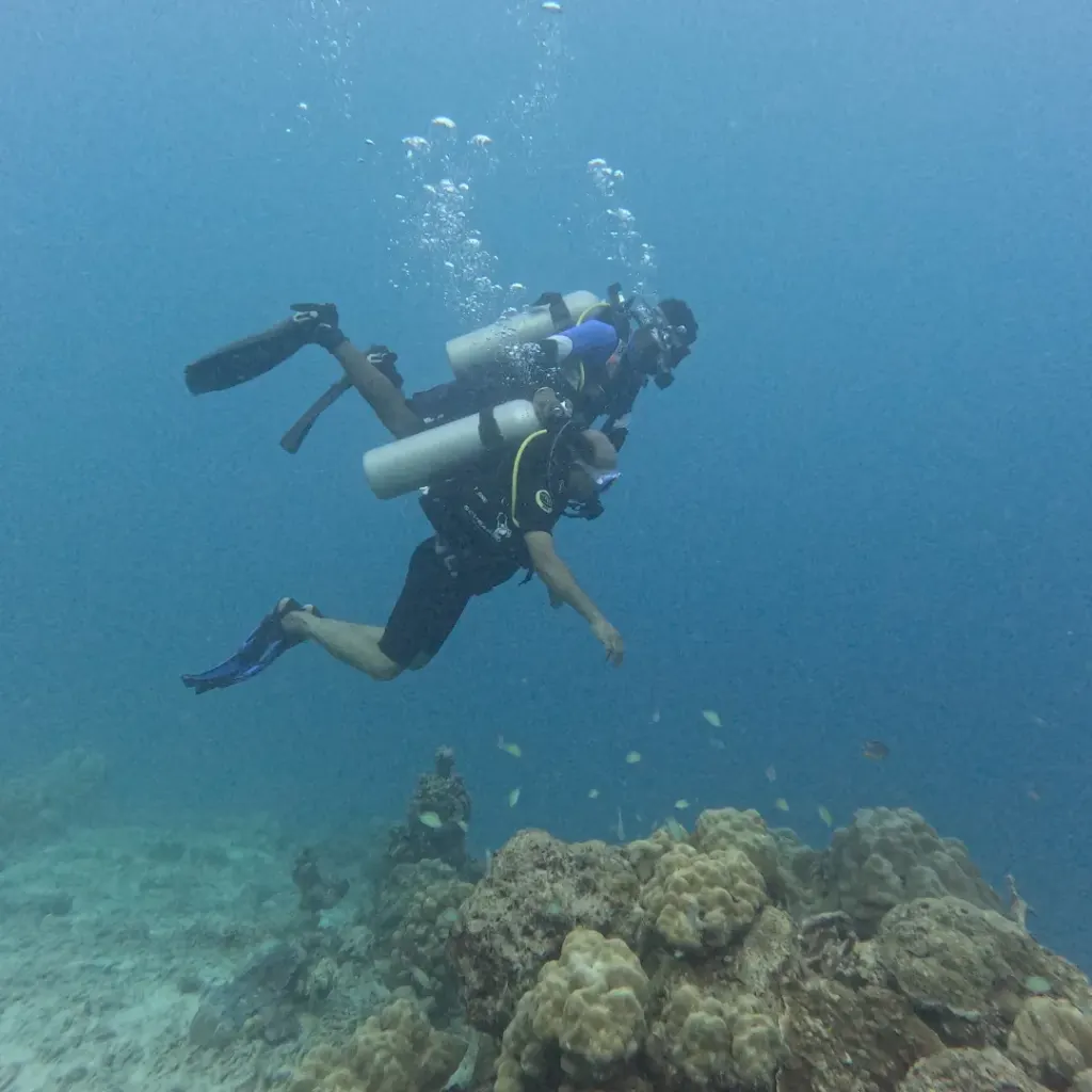 Two divers swimming over the reef, The Slope scuba diving, Havelock Island