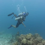 Two divers swimming over the reef, The Slope scuba diving, Havelock Island