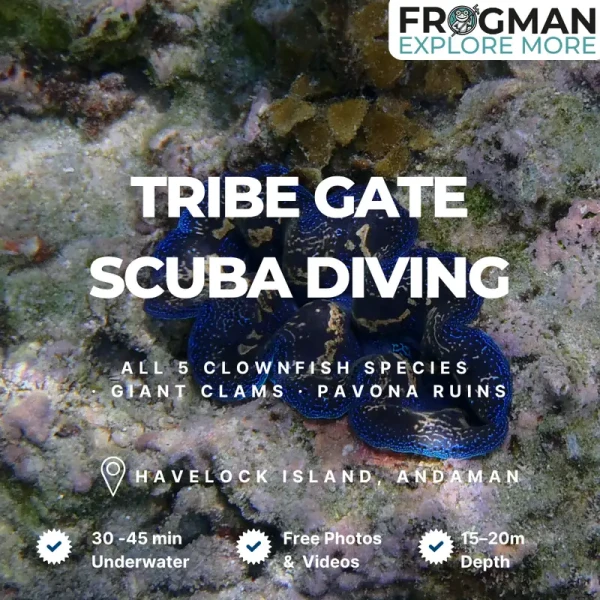 Tribe Gate scuba diving site at Havelock Island, Andaman