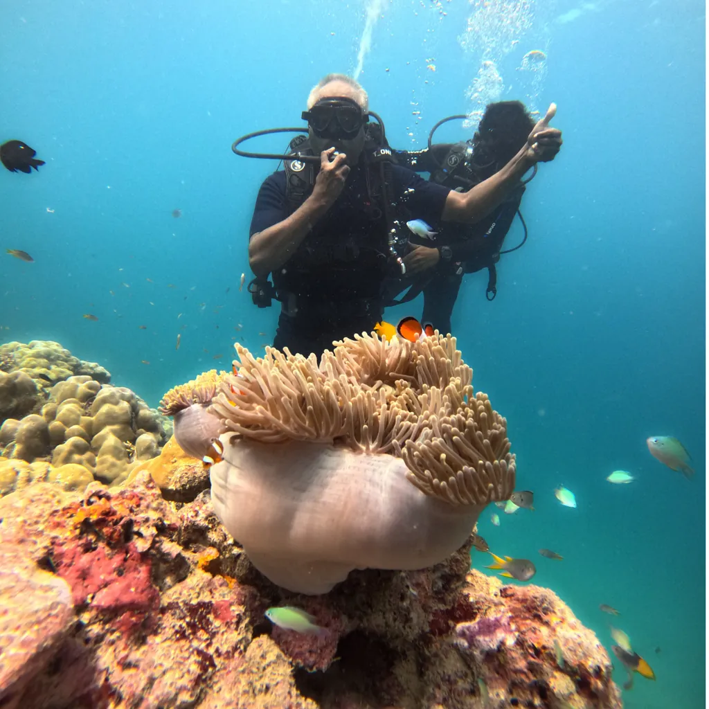 Instructor and guest above a carpet anemone with clownfish while scuba diving at Tribe Gate, Havelock
