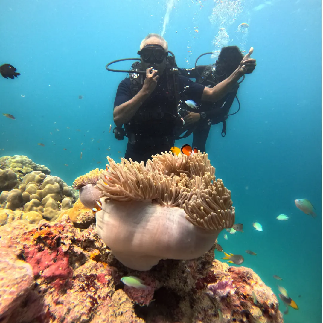 Instructor and guest above a carpet anemone with clownfish while scuba diving at Tribe Gate, Havelock