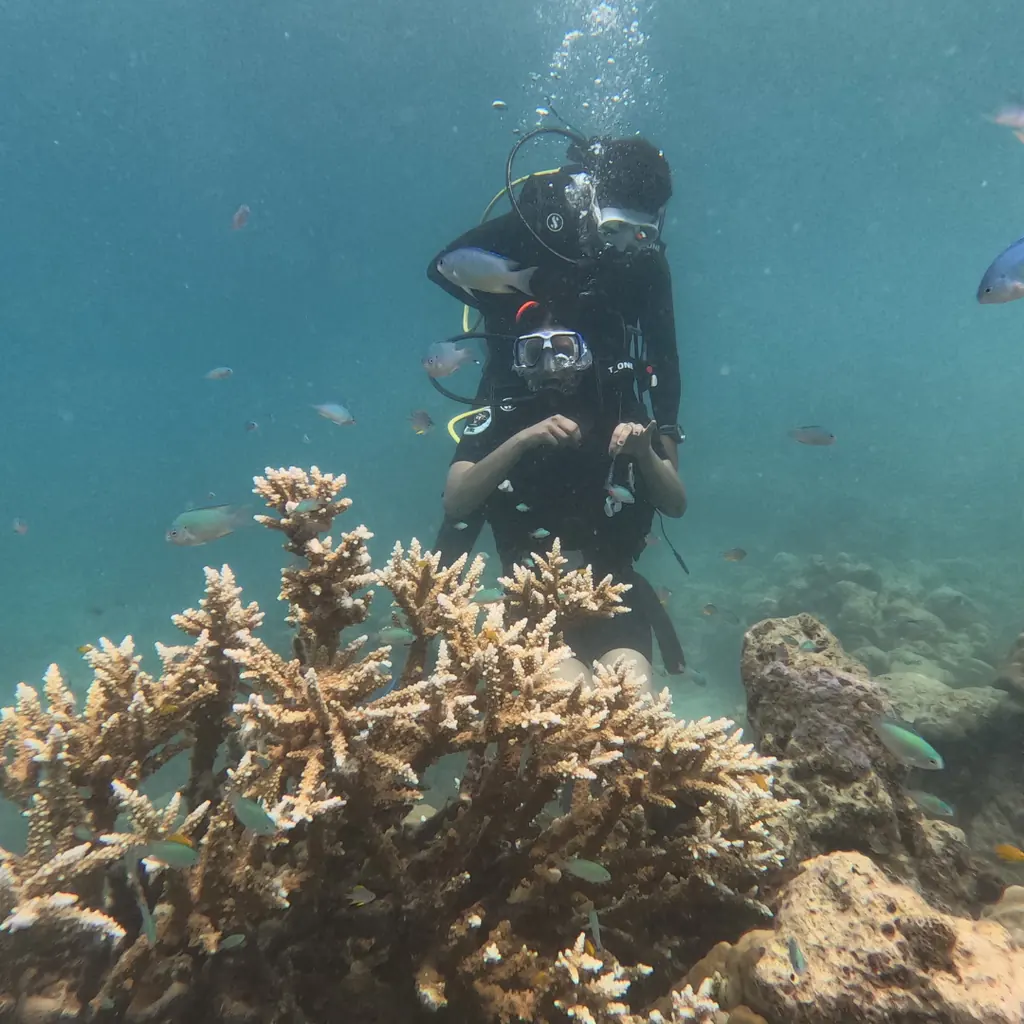 Two divers over a staghorn coral garden surrounded by reef fish at Tribe Gate, Havelock Island