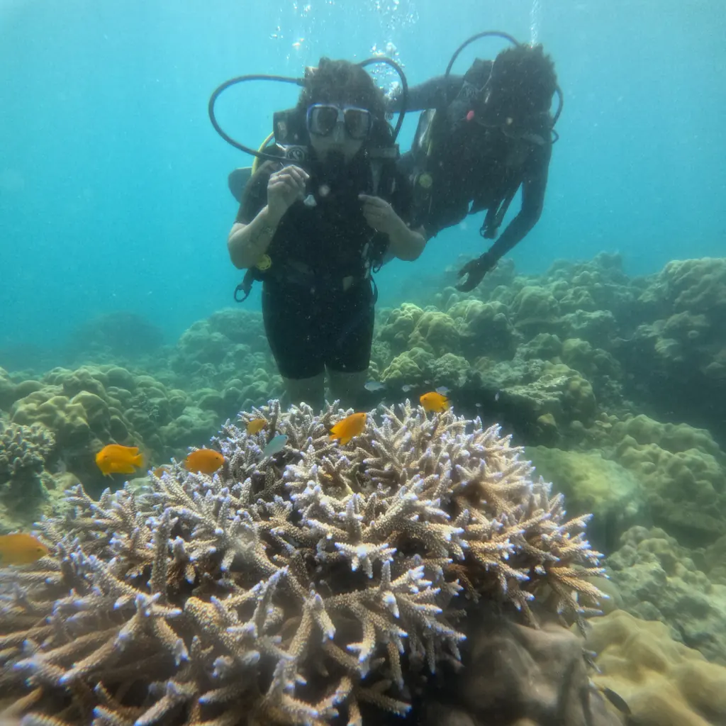 Two divers above a staghorn coral head with orange damselfish while scuba diving at Tribe Gate, Havelock Island
