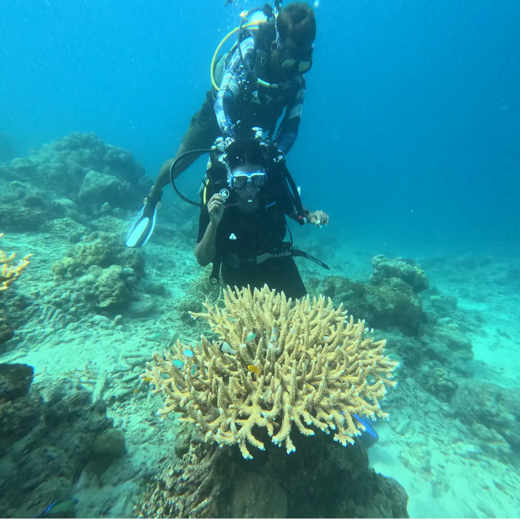 Beginner diver with an instructor above a table coral while scuba diving at Tribe Gate, Havelock