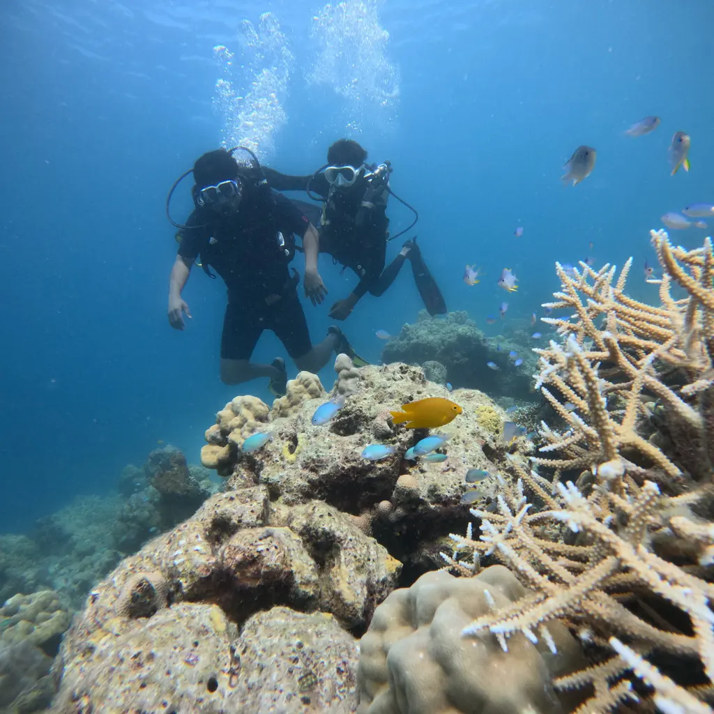 Two divers in clear blue water above the coral reef at Tribe Gate, Havelock Island