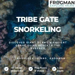 Tribe Gate (Oval Reef) snorkeling tour in Havelock Island