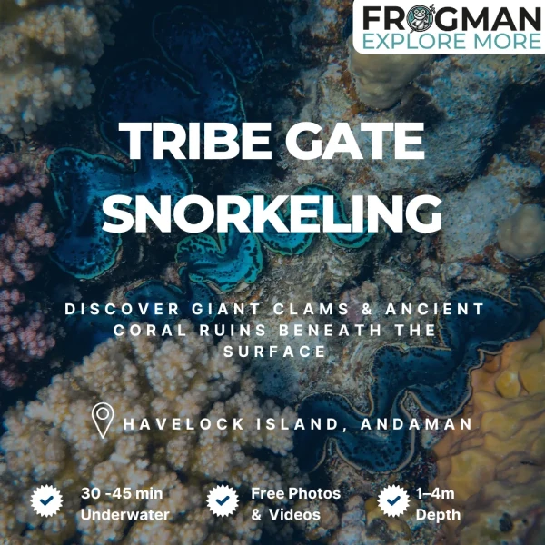 Tribe Gate (Oval Reef) snorkeling tour in Havelock Island