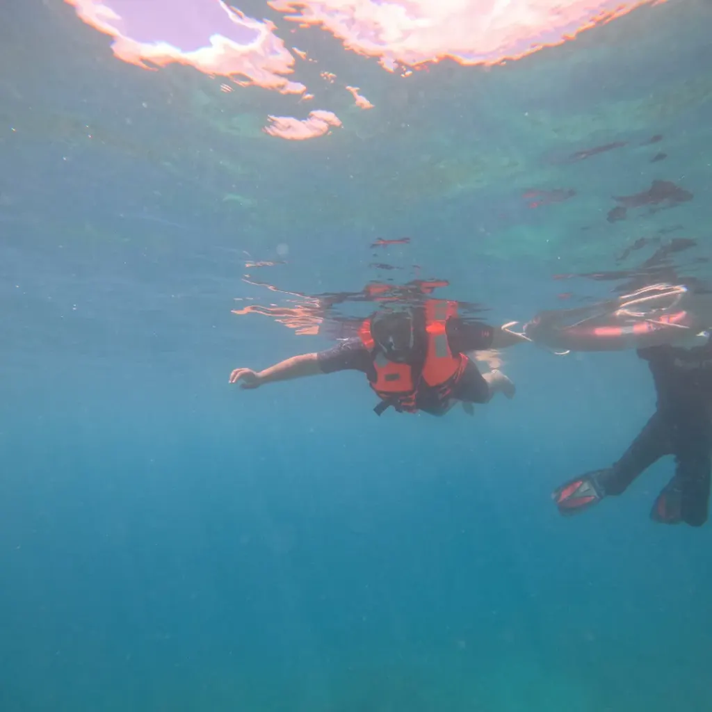 Two snorkellers in life jackets at the surface, seen from below, snorkelling in Havelock Island