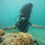 Diver with arms spread above an anemone, Try Scuba diving in Havelock Island